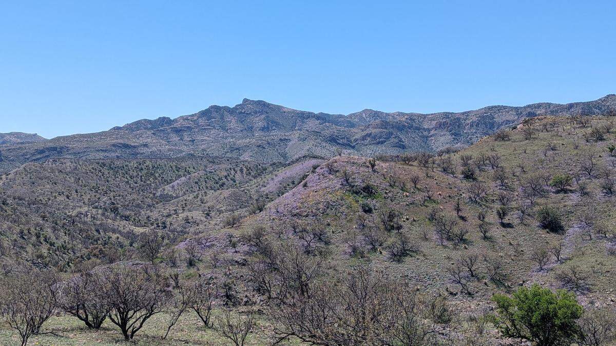 Ragan said she plans to return to the Atascosa Highlands area at the end of August.