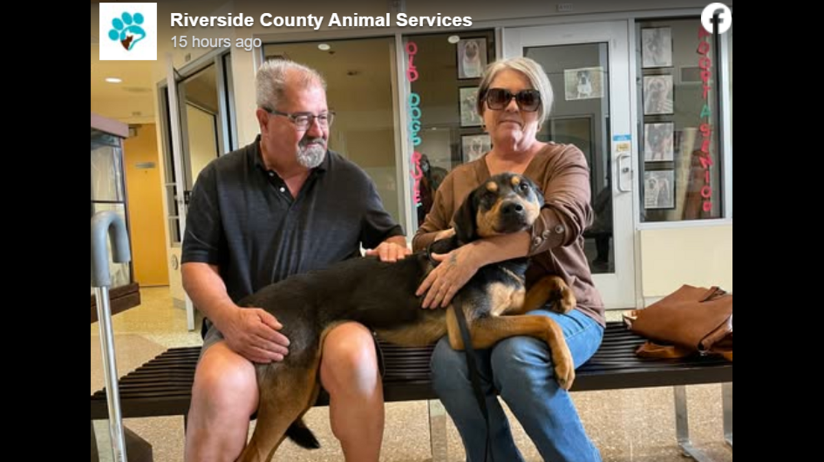 Yayo found a new home after months of waiting, a shelter said.