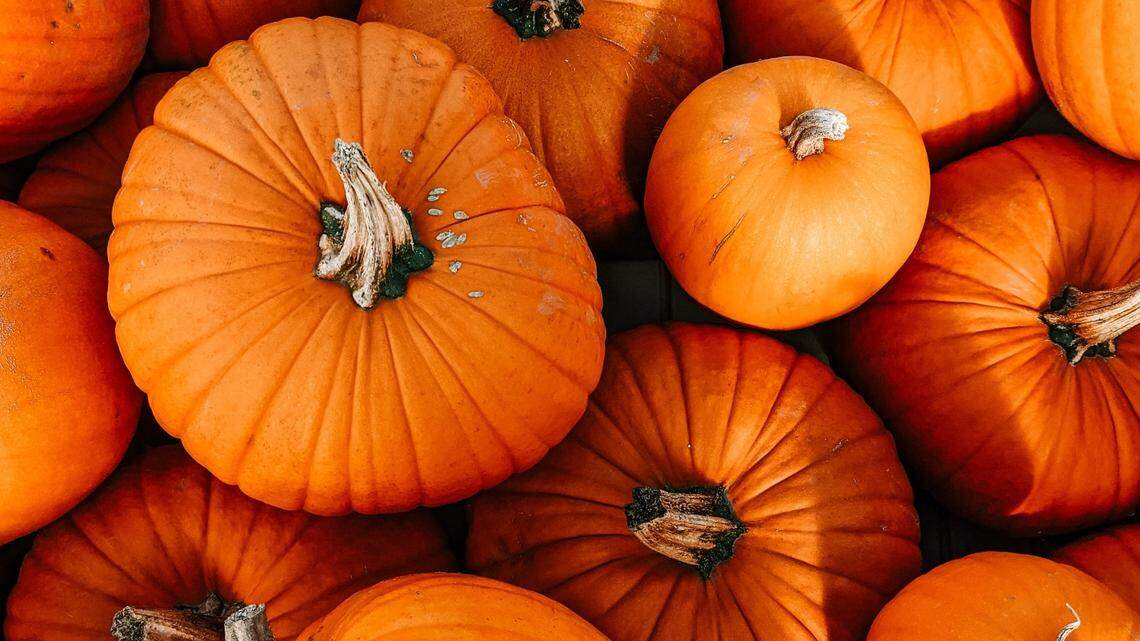 Wildlife officials urge the public to keep edible Halloween decorations off the ground and away from wildlife.