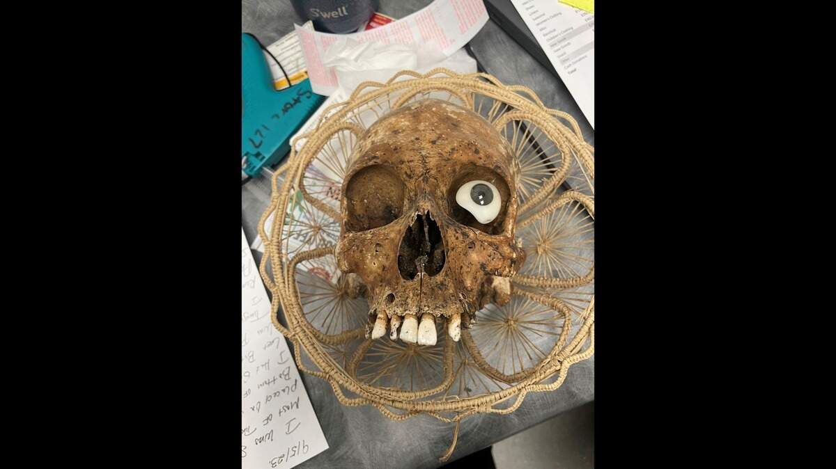 A human skull was found in a box of items donated to a Goodwill in Arizona, according to police.