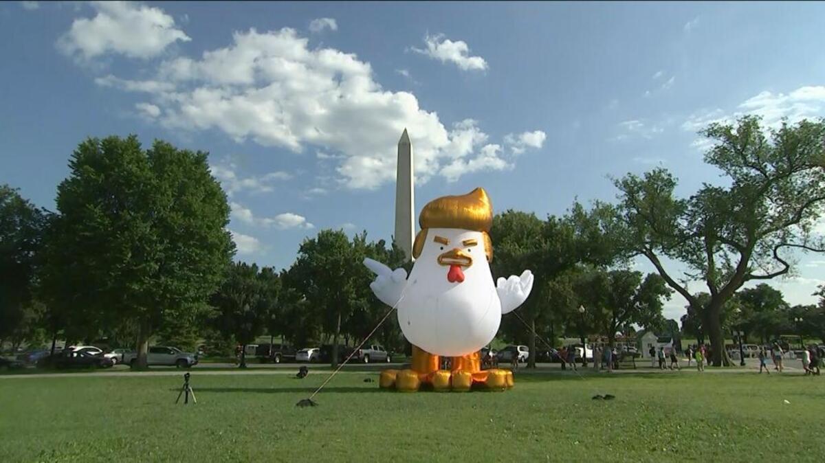 This image from video shows a inflatable chicken on the Ellipse, just south of the White House, on Wednesday in Washington. The giant inflatable chicken bearing the unmistakable hairstyle of the commander in chief transfixed tourists and television cameras in the nation’s capital.