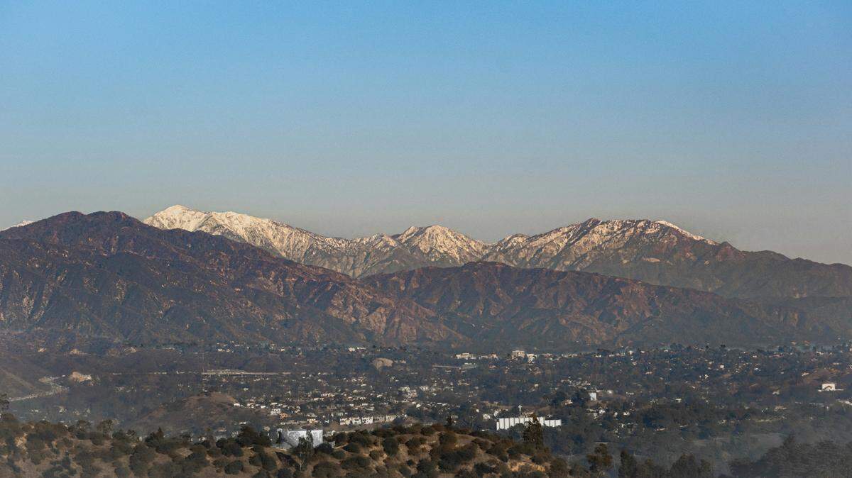 A black bear appears to grin as it wanders over a mountain overlooking a Southern California city, and the shot is the result of years of dedicated work by a wildlife photographer.