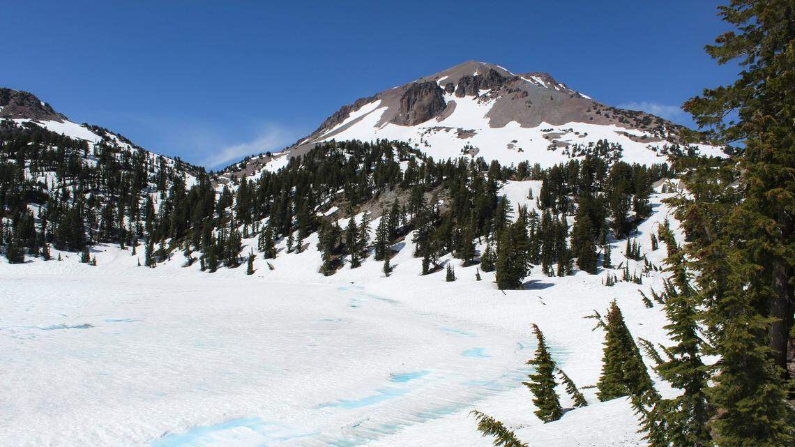 A new group of endangered apex predators has been hanging around Lassen Volcanic National Park in northern California.