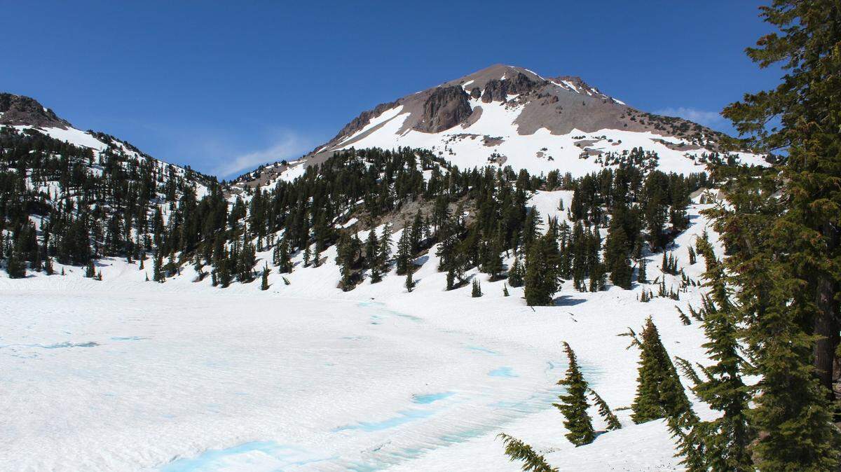 A new group of endangered apex predators has been hanging around Lassen Volcanic National Park in northern California.
