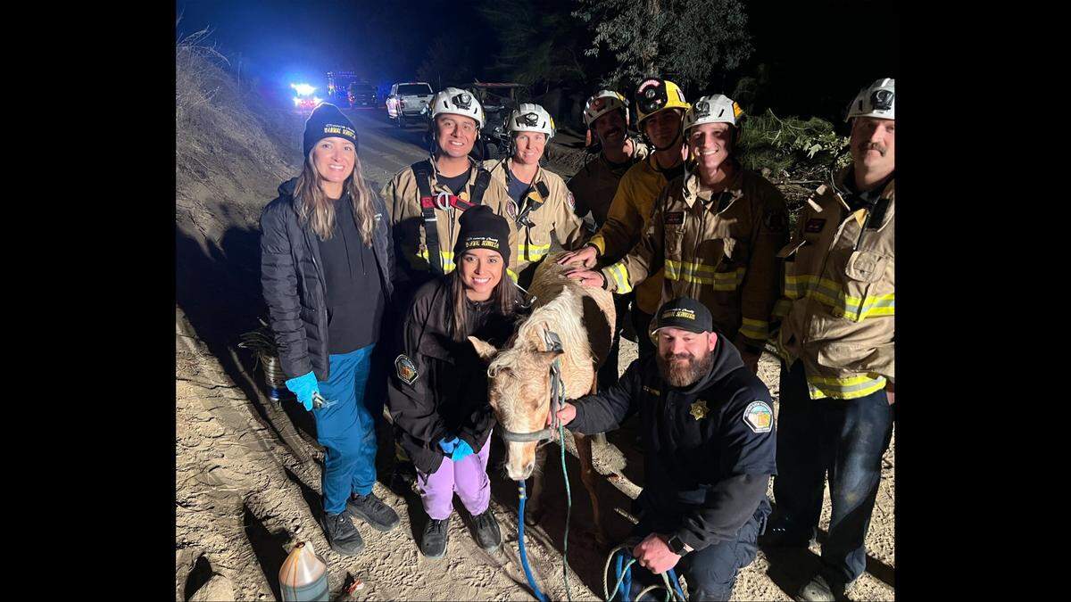 Butter was rescued in a “huge team effort,” a veterinarian said.