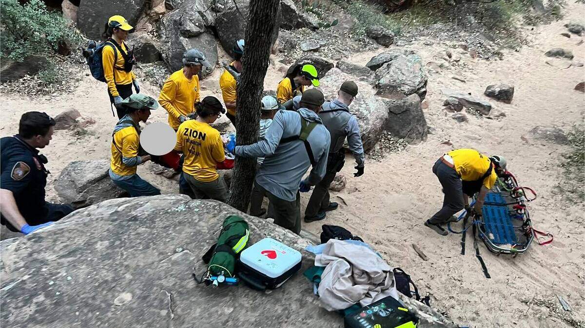 Rescuers teamed up with Zion National Park rangers to help a hiker who was injured after falling 30 feet in the park, photos show.