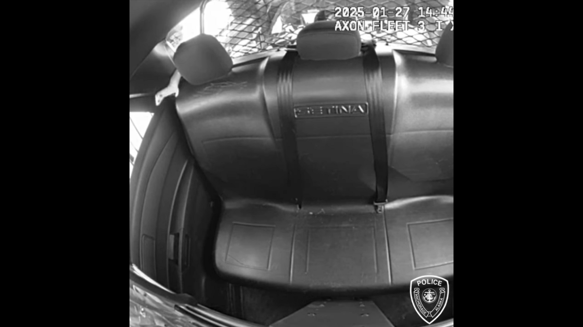 An ermine hopped into an Alaska police vehicle, and name suggestions started pouring in.