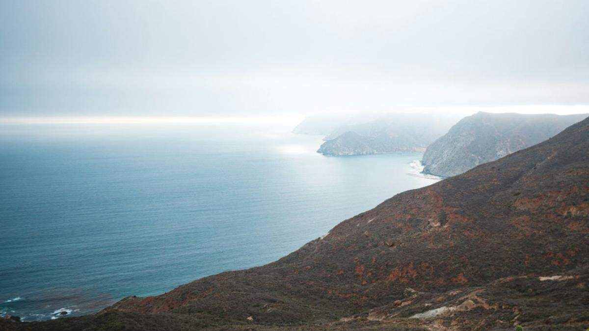 A long-distance swimmer was bitten off the coast of Catalina Island, fire officials say.