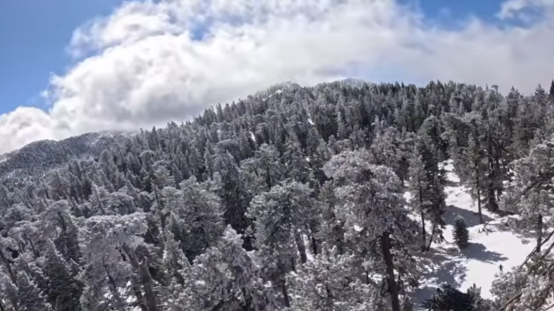 The hikers fell on Tahquitz Peak above Idyllwild on Saturday, March 1, rescuers said.