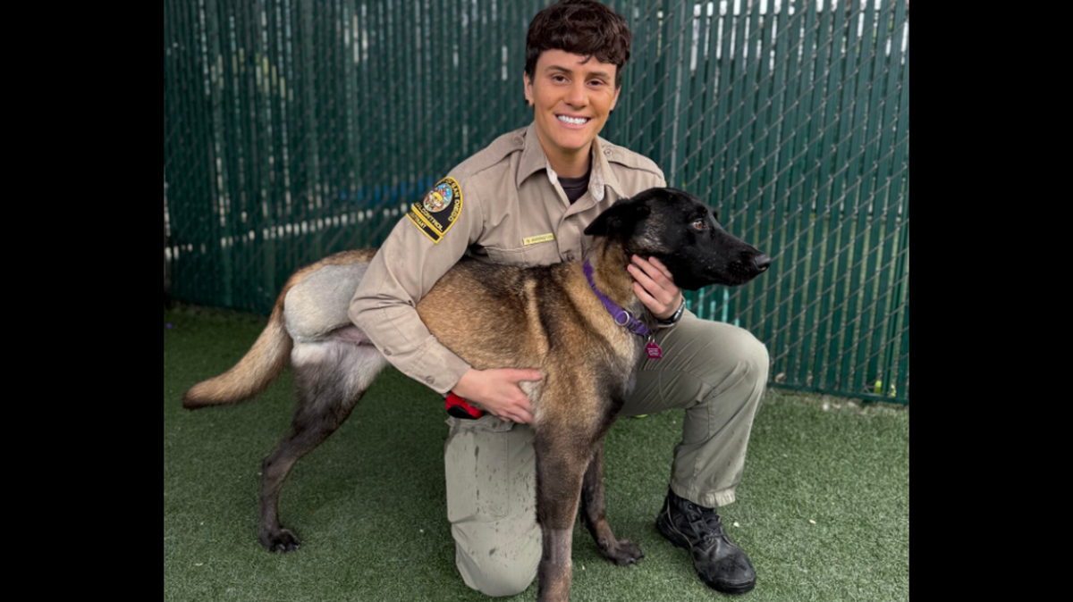 Eagle pictured with Lt. Natalie Harrington.