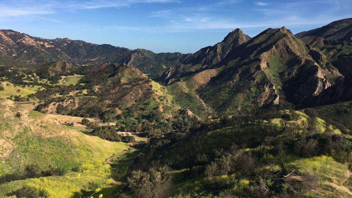 Biologists will monitor the tadpoles this summer as they grow into baby frogs in the Santa Monica Mountains near Los Angeles.