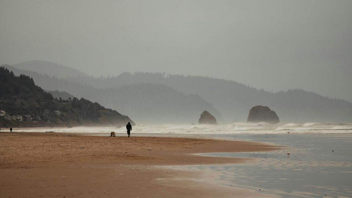 The ocean sunfish was found near Sunset Beach in Oregon, an aquarium said.