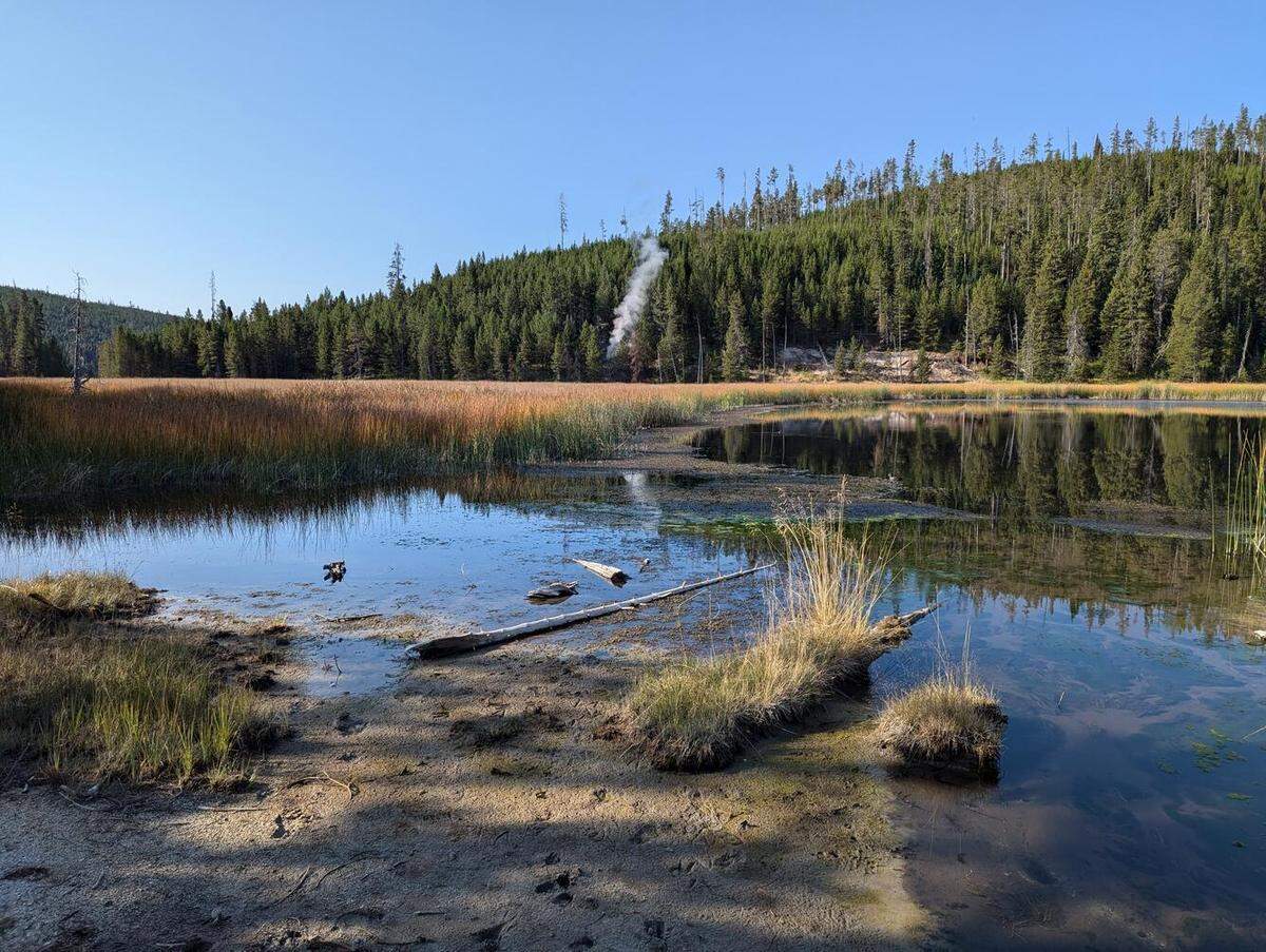 A new hydrothermal feature popped up right before scientist’s eyes in Yellowstone National Park.