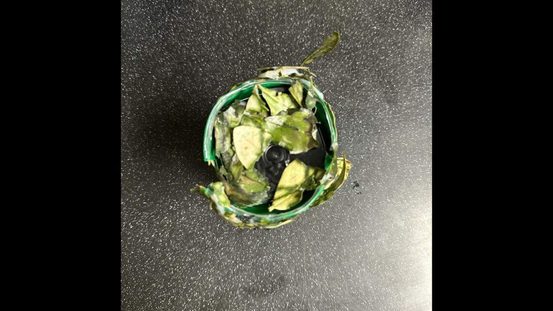 California police are warning of “camouflage cameras” after a homeowner found one tucked away in the bushes on the same day as an attempted burglary.