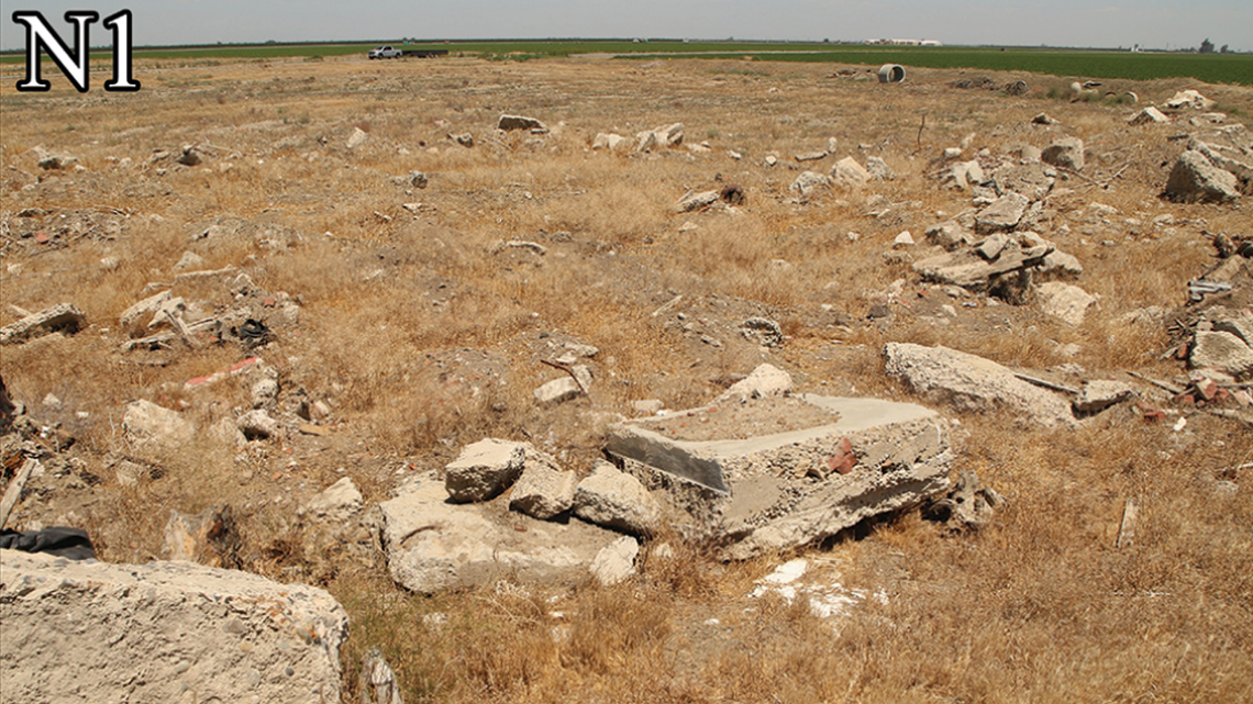 Venomous creature lurking — and hunting — in California desert is new species. See it