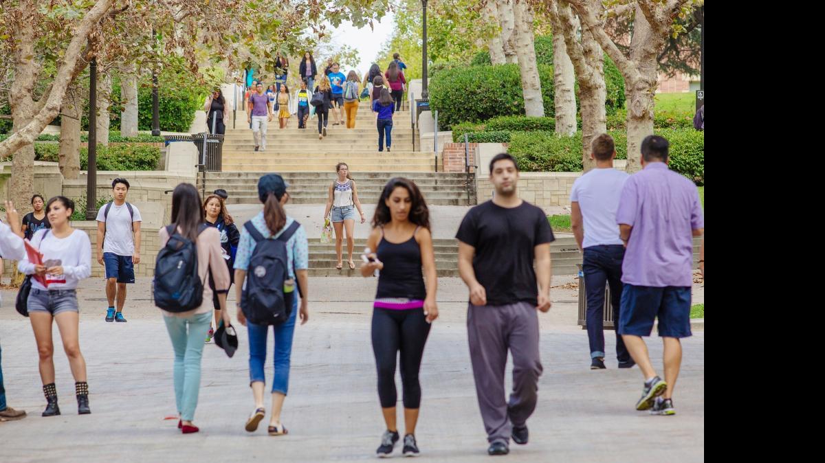 
The University of California, Los Angeles, campus on Sept. 8, 2014.

