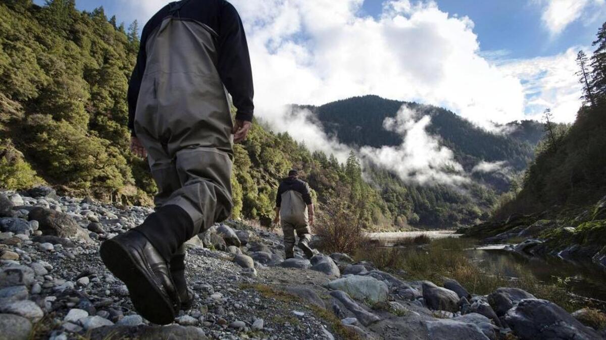 Fisheries technicians with the Karuk Tribe walk near the Klamath River on December 8, 2015, near Orleans, Calif.