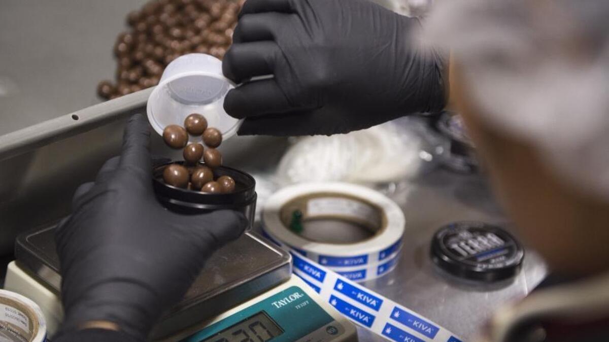 An employee packages medical cannabis chocolate bites at Kiva Confections in Oakland on Oct. 19, 2016.