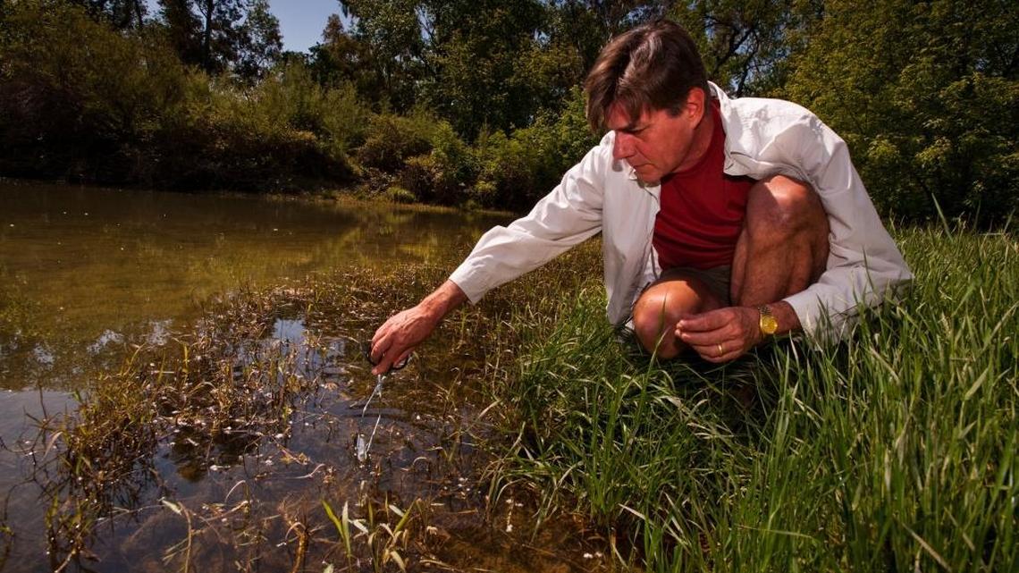 Bob Derlet, collecting water samples in 2010 at Putah Creek near Davis, has announced that he is running for Congress against Rep. Tom McClintock, R-Elk Grove. The medical doctor said environmental issues will be central to his campaign.