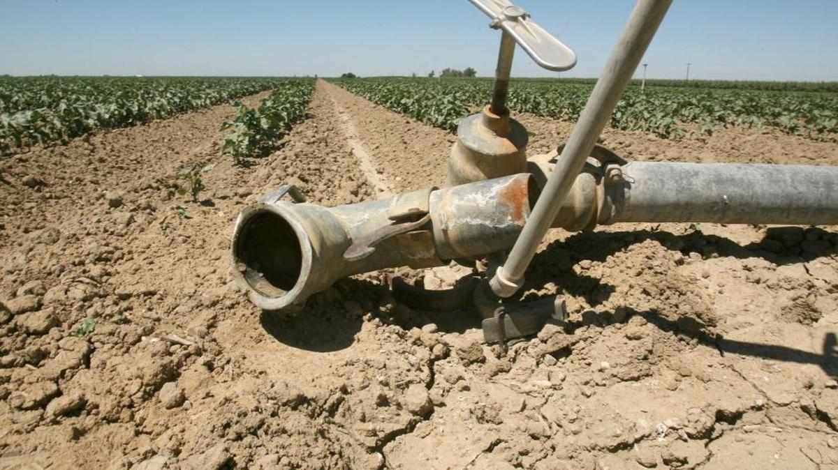 An irrigation pipe disconnected from a Fresno cotton field.
