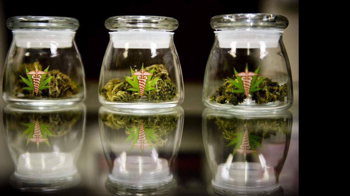 
Samples of medical Marijuana is available for costumers to smell before they purchase at Canna Care Inc., a medical marijuana dispensary in Sacramento in 2009. Legalization proponets have filed two proposed measures for the November 2016 ballot.
