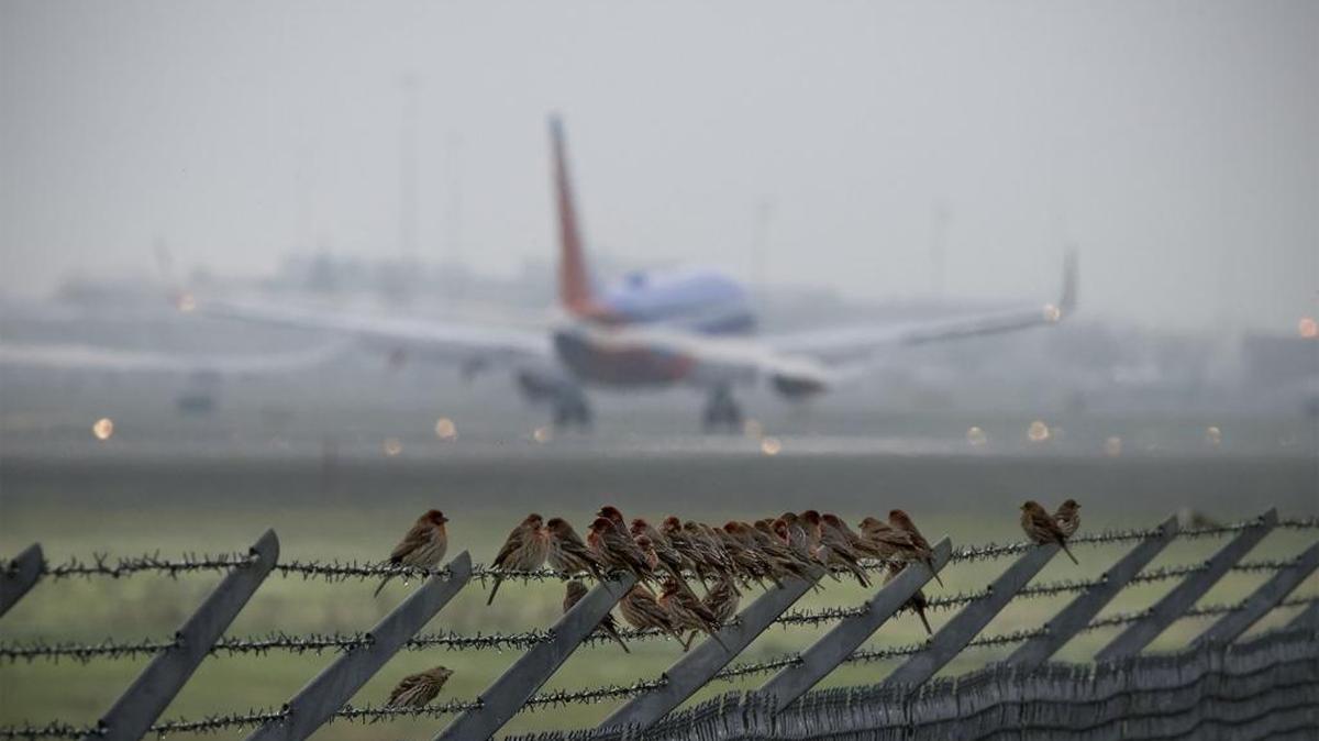 A plane lands at Sacramento International Airport on Wednesday, January 20, 2016.