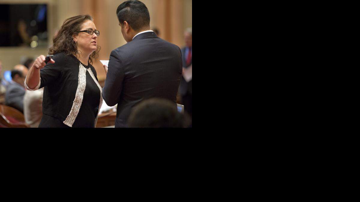 
Assemblywoman Lorena Gonzalez, D-San Diego, talks with Sen. Ricardo Lara, D-Bell Gardens on Saturday, August 30, 2014. 
