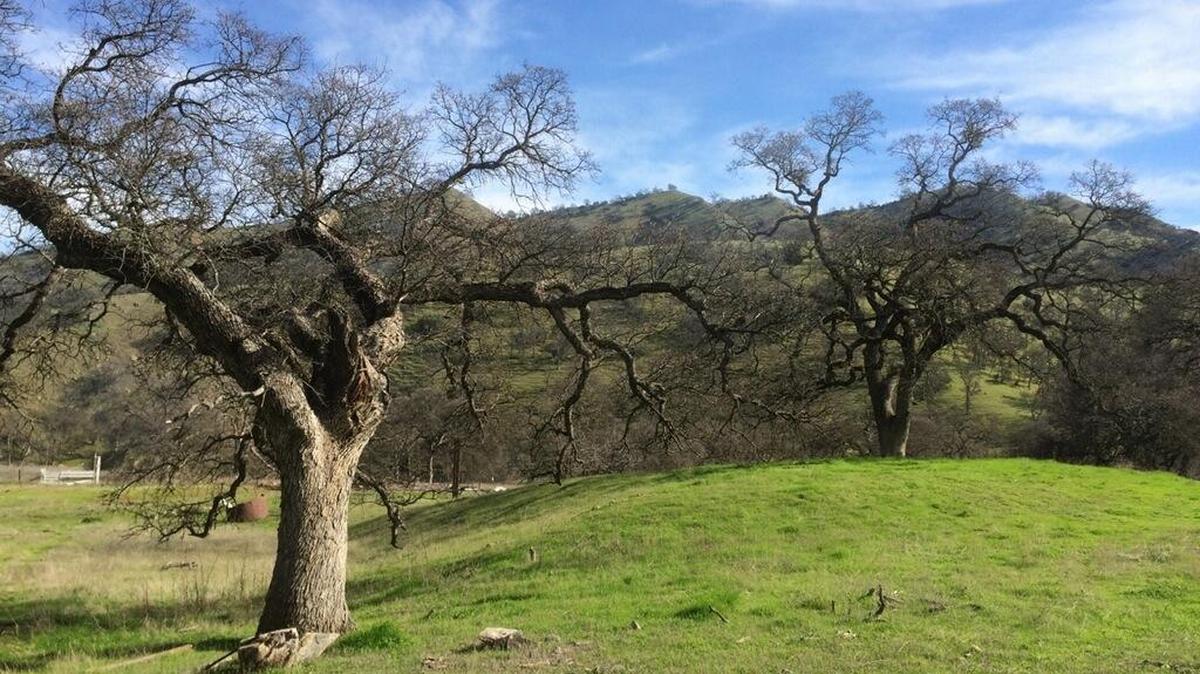 The home site for the 2,674 square-foot home Gov. Jerry Brown wants to build in Colusa County is shown in this February 2016 photo.