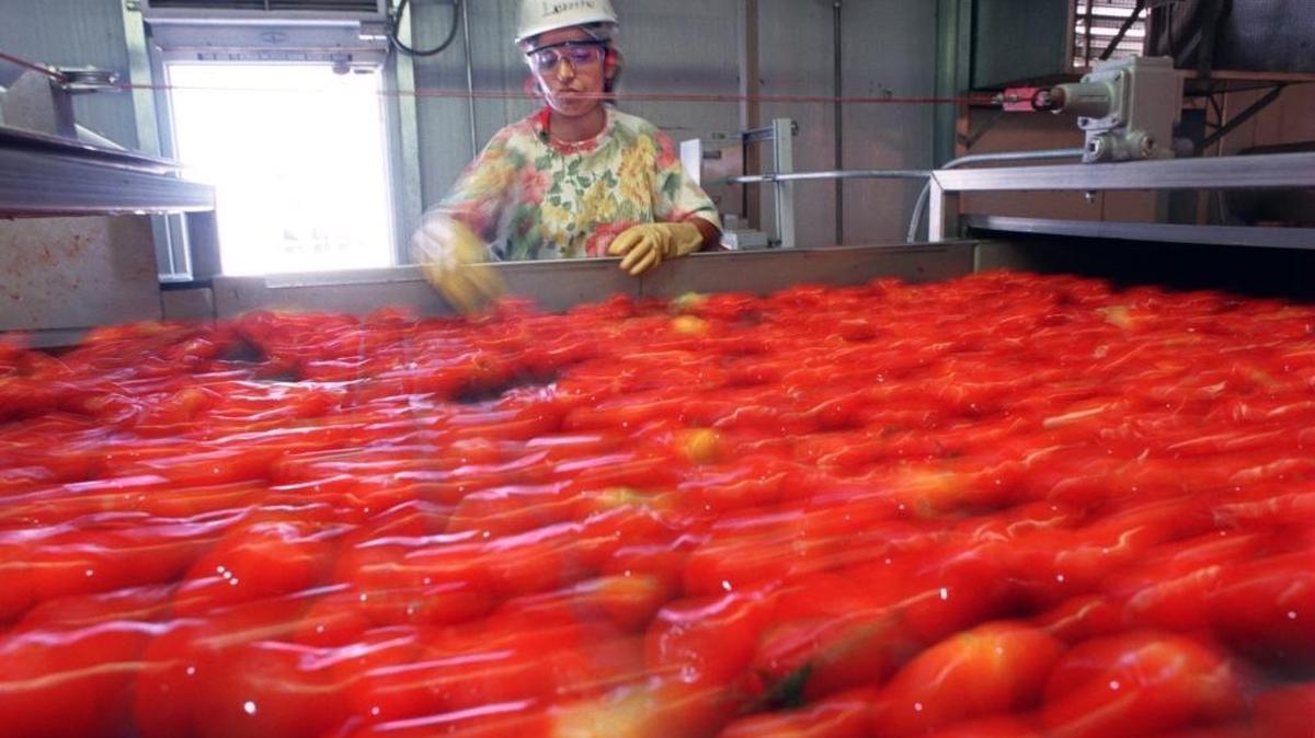 Woodland-based Tomato giant Morning Star is challenging the state’s greenhouse gas emission cap-and-trade program.
