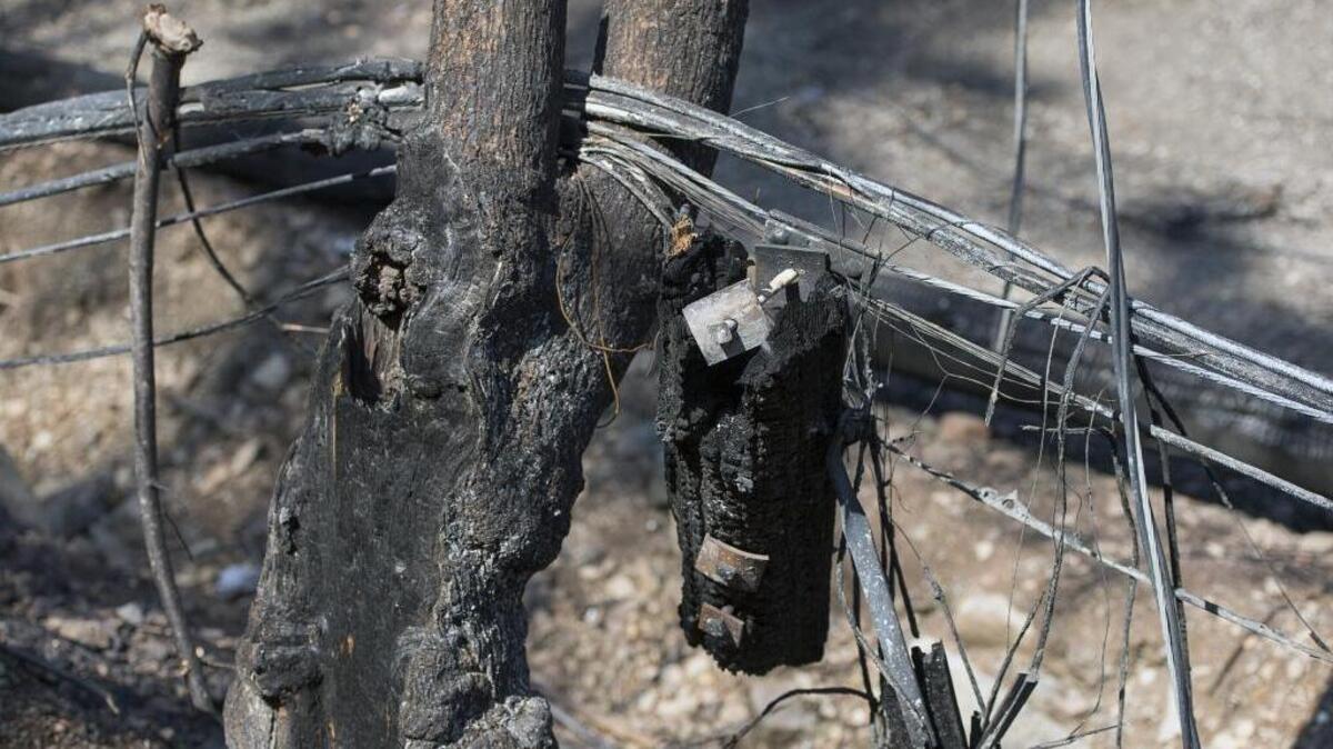 Scorched power line remain along the road on Thursday September 17, 2015 in Anderson Springs, Calif.