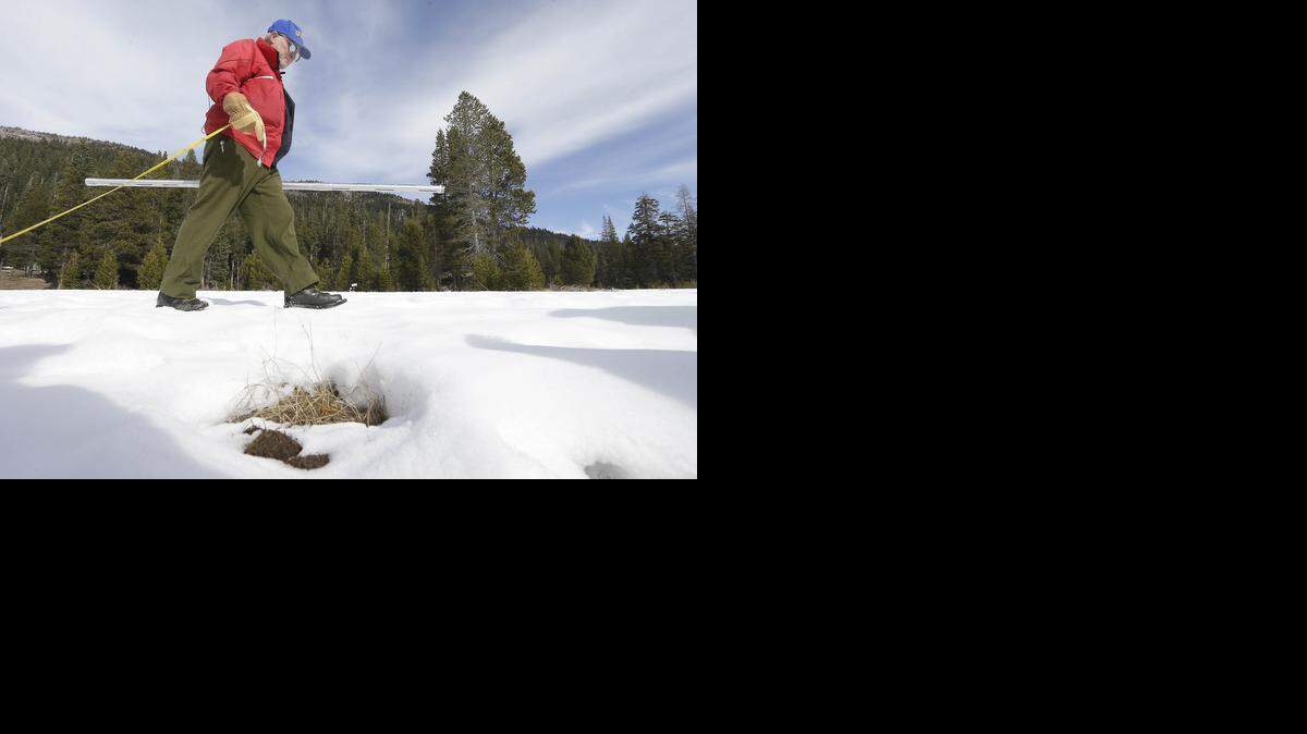 
As California’s drought stretches into a fourth year, snowpack was only 12 percent of normal when Frank Gehrke of the Department of Water Resources conducted the second snow survey of the season at Echo Summit, Calif. on Jan. 29, 2015.

