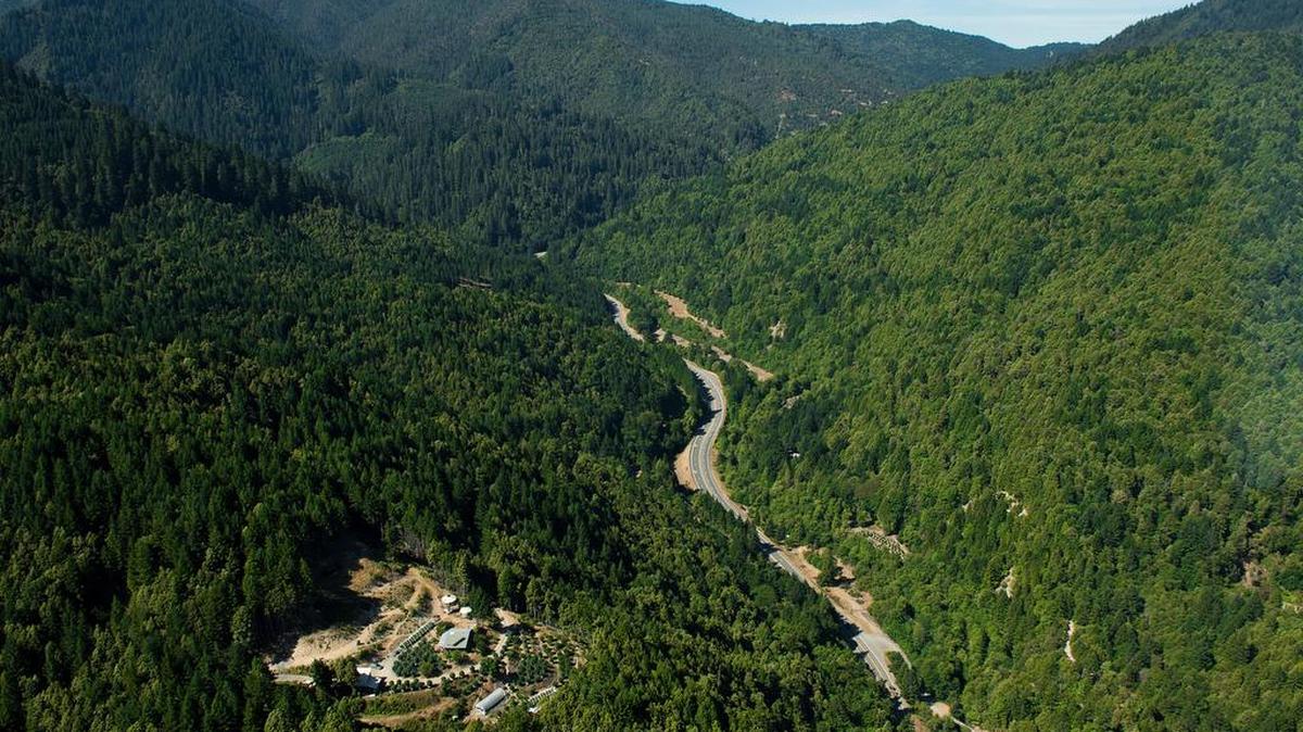 Commercial-style farms grow marijuana in July in mountainous timberland clearings of Humboldt County .