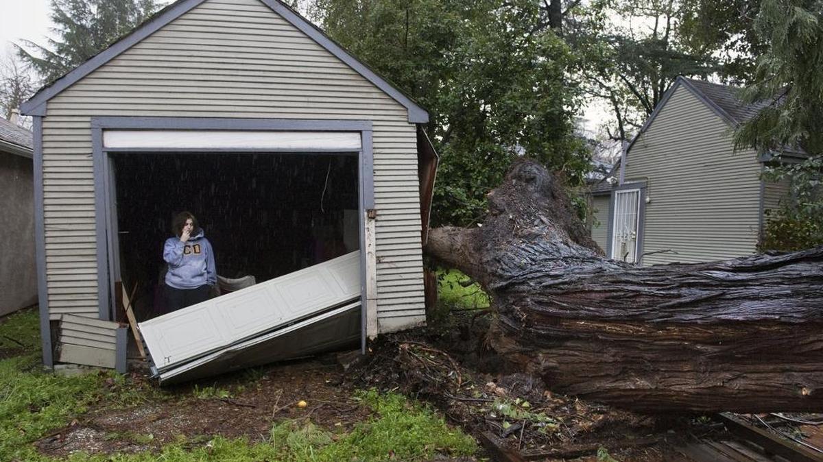 Valerie Bronstein stands inside her garage where she shields herself from the rain where, the night before, her large tree on 39th Street near S Street, was toppled by high winds, crashing into her neighbors home and knocking out power which continued into Thursday, Jan. 19 in Sacramento. Gov. Jerry Brown has requested a presidential disaster declaration for the storms that hit the state from Jan. 18 through Jan. 23.