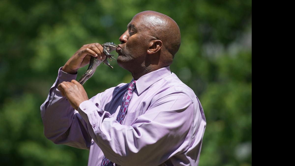 
Assemblyman Jim Cooper, D-Elk Grove, kisses his frog before it jumps during the Capitol Frog Jump, which is the unofficial kickoff to the Calaveras County Fair and Jumping Frog Jubilee. The annual frog jumping contest happens at the Capitol with legislators and others participating.
