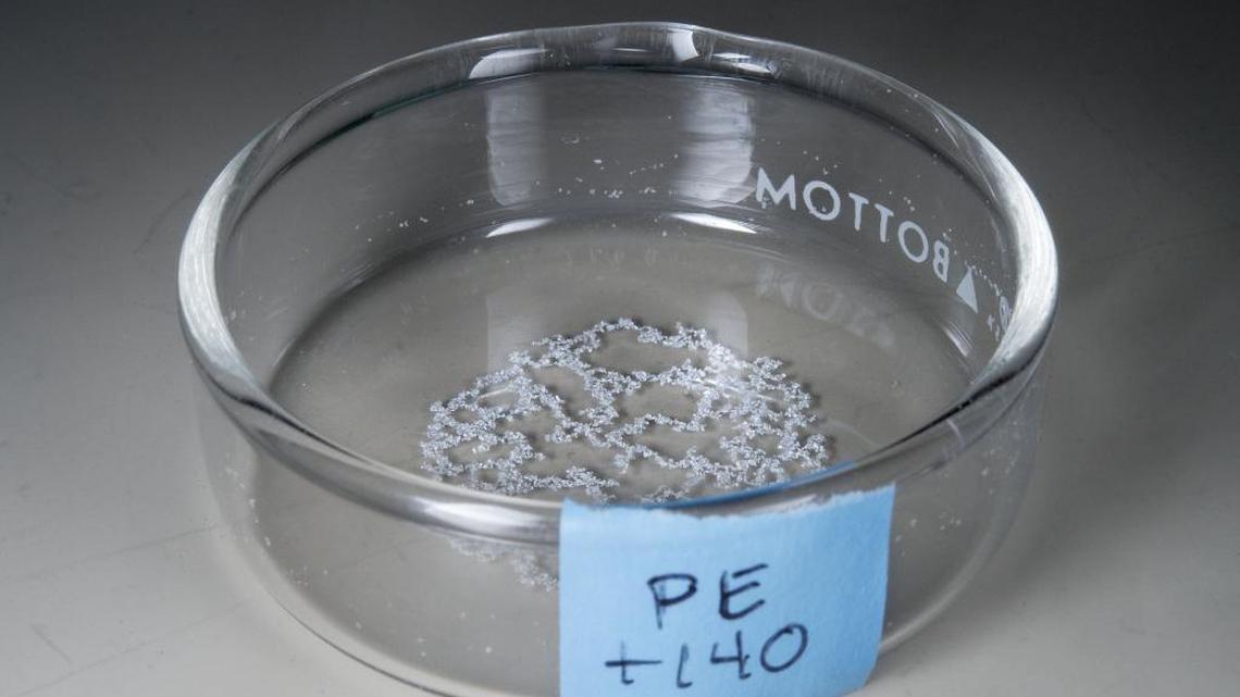
Microbeads cover an area about the size of a half-dollar in a glass lab dish at UC Davis in Davis on Wednesday, April 15, 2015. 
