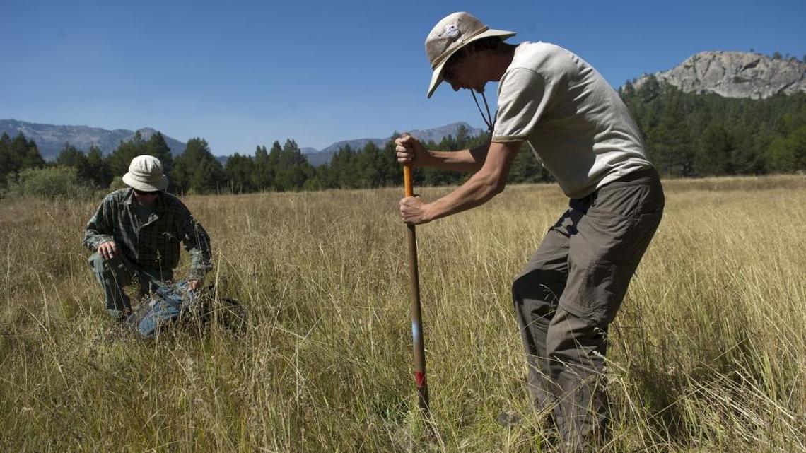 Daniel Lubin, left, an environmental scientist for the State Parks, and Scott Tidball, a seasonal biologist, look at the soil near a Lake Tahoe golf course in 2011. The majority of the job classifications the State Personnel Board will consider abolishing are scientific positions.