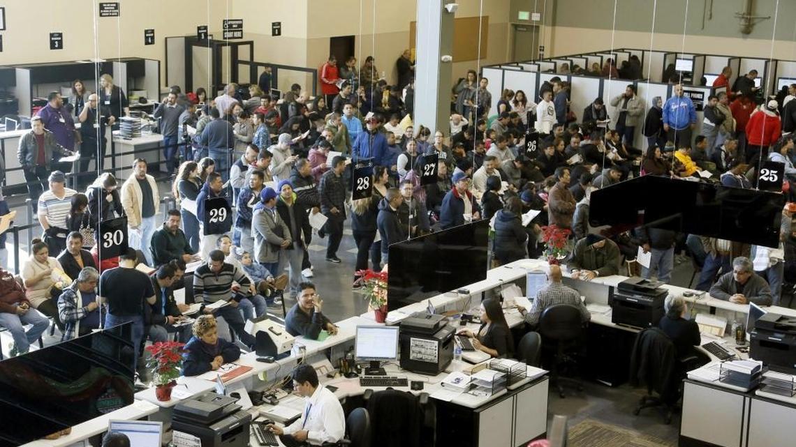 Immigrants line up at a California Department of Motor Vehicles office to register for drivers licenses in Stanton, Calif., Friday, Jan. 2, 2015.