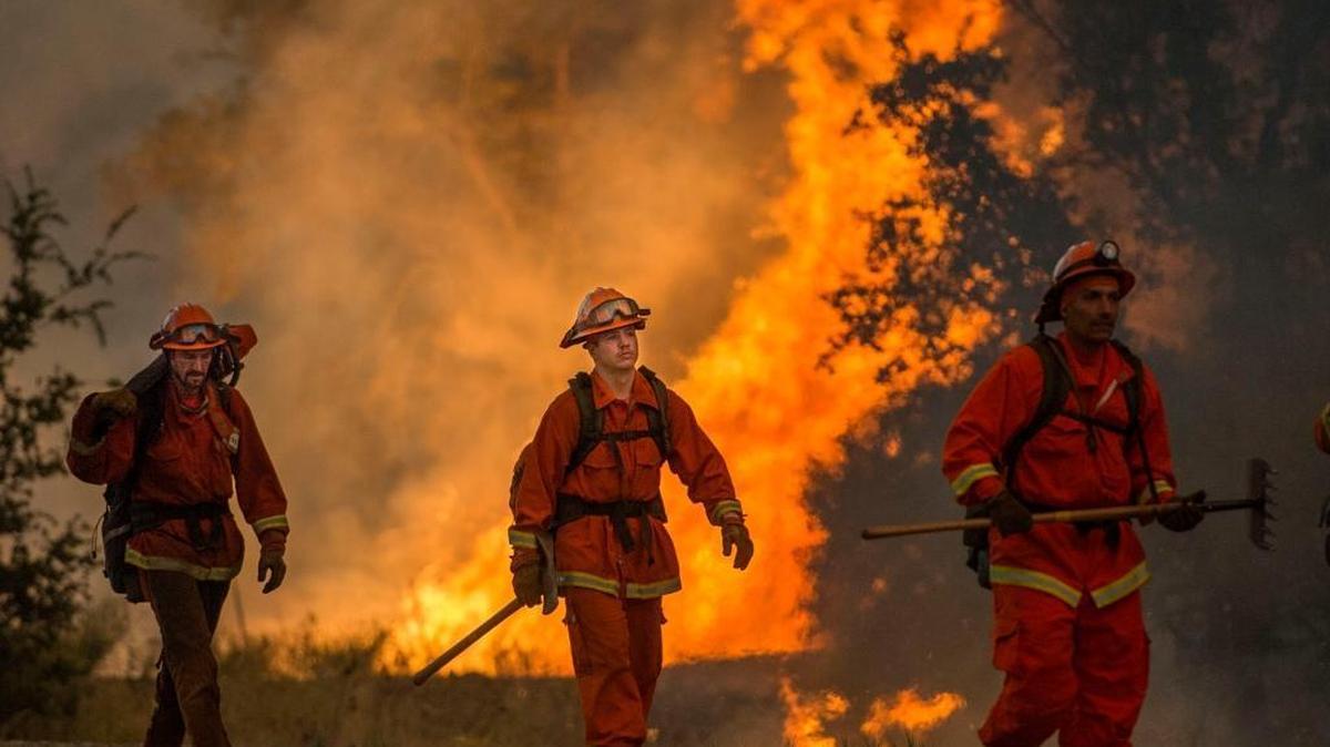 
An inmate crew protects a fire line near back fires south of Highway 20 in Lake County on Aug. 2, 2015. 
