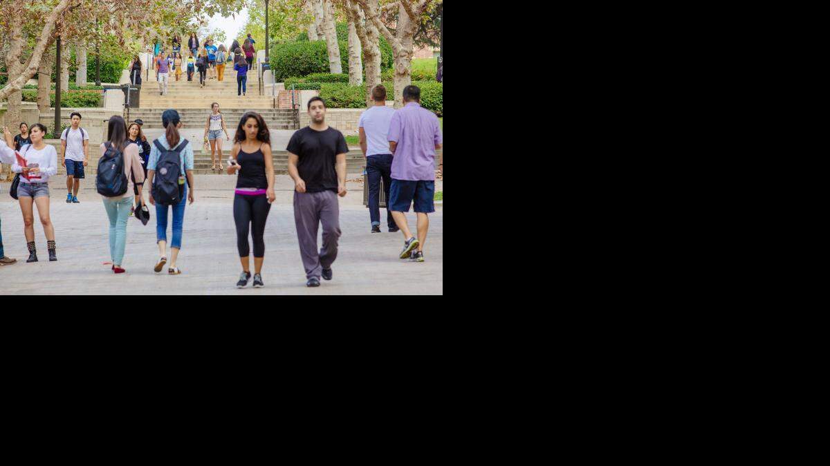 
The University of California, Los Angeles, campus on Sept. 8, 2014.
