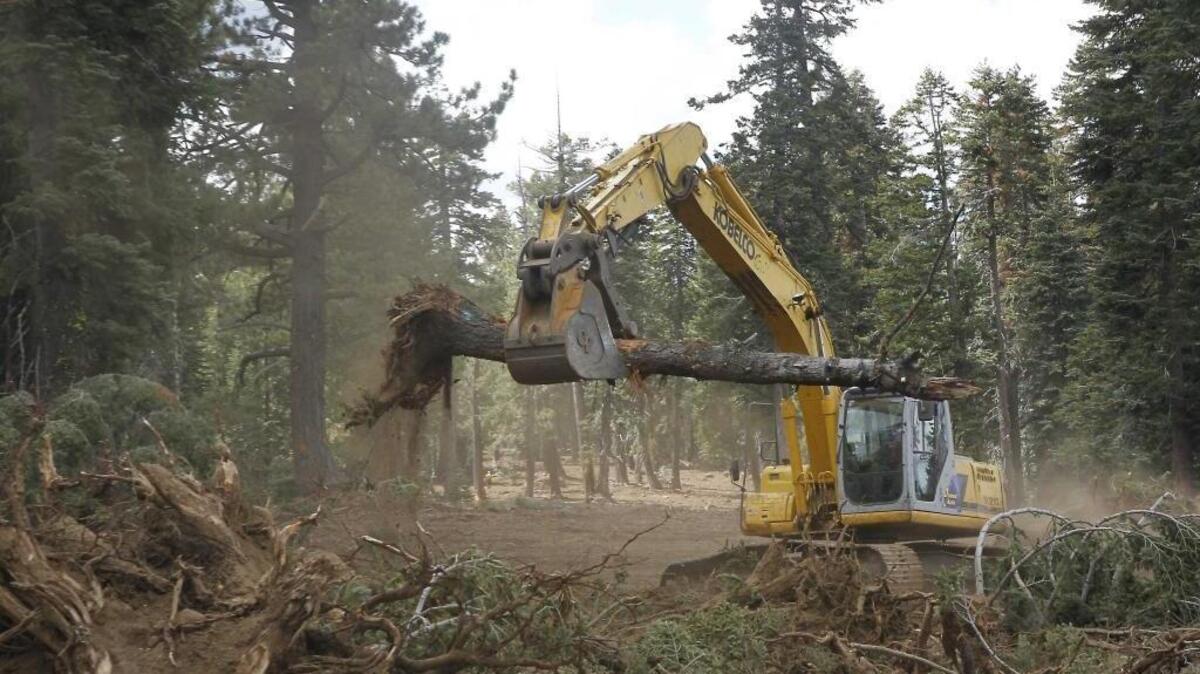 In this September photo, an excavator removes trees that were bulldozed for a firebreak in the battle against the Rim Fire along Dodge Ridge in the Stanislaus National Forest, near Tuolumne City, Calif. Some local fire officials say the state’s fire prevention fee has hampered tax measures on the ballot.