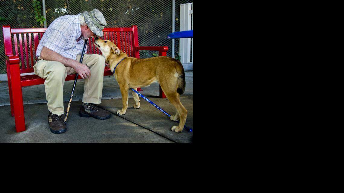 
Dana Felgenhauer of Sacramento touches noses with a mixed breed dog at the Sacramento shelter before adopting her. A pending state bill would require publicly funded research institutions to either set up on-site adoption programs or work with animal adoption groups to offer healthy animals to prospective pet parents.
