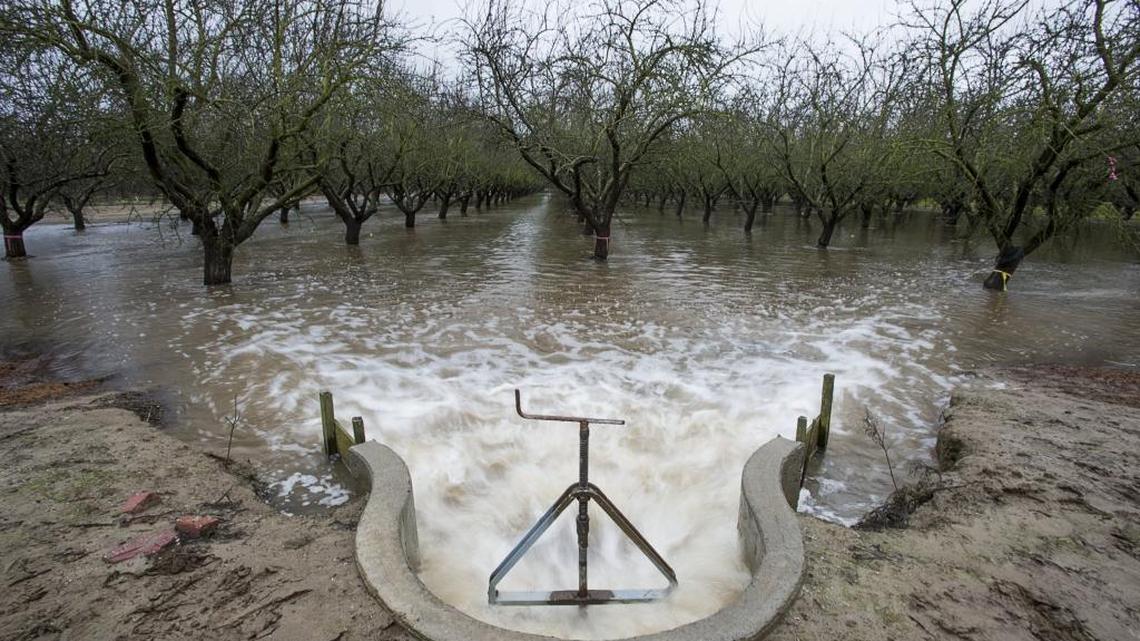 Stormwater floods the 5-acre almond orchard of Modesto farmer Nick Blom in an experiment to restore aquifer on Jan. 19, 2016.