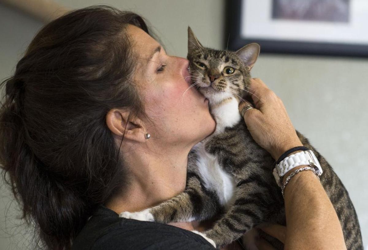 Barbara Doty, cat rescuer and founder of the nonprofit LapCats, kisses one of her foster cats, a playful brown tabby named “Minette” who was up for adoption on December 22, 2015. Assemblyman Marc Steinorth, R-Rancho Cucamonga, will pay for up to 400 pet adoptions this weekend.