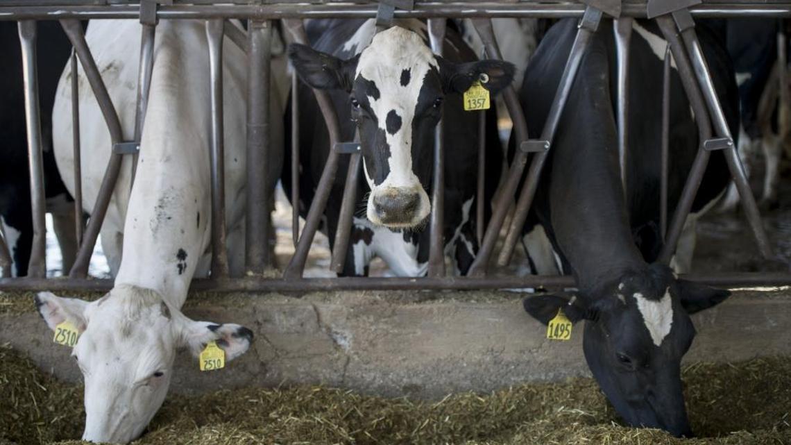 Environmental groups challenge update to California’s low-carbon transportation rules