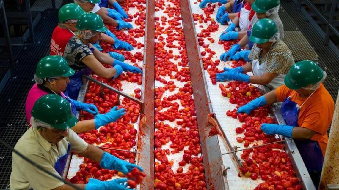 Food processors, like this Pacific Coast Producers tomato plant in Woodland, are among the California businesses required to participate in the state’s cap-and-trade carbon program.