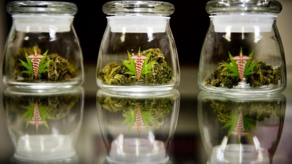 
Samples of medical Marijuana is available for customers to smell before they purchase at Canna Care Inc., a medical marijuana dispensary in Sacramento.
