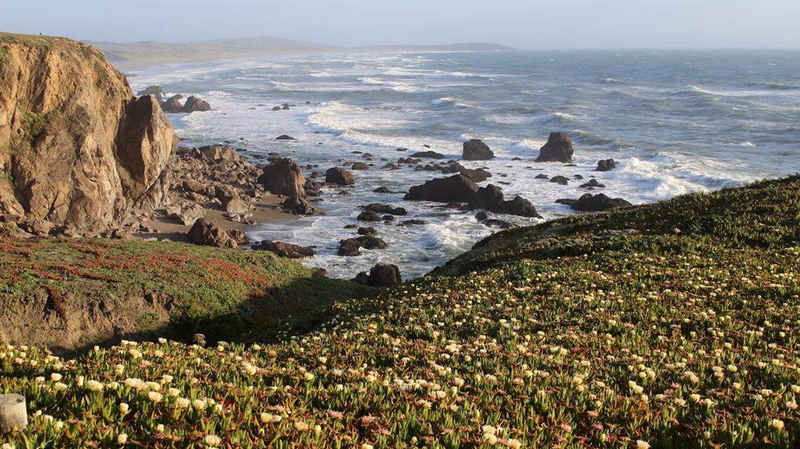Sea and shoreline combine in splendor in Sonoma Coast State Park along California Highway 1 between Bodega Bay and Jenner. California’s 2nd Congressional District ranges up the coast and, after Proposition 50, also takes in wide swathes of inland, Republican-leaning, Northern California. 