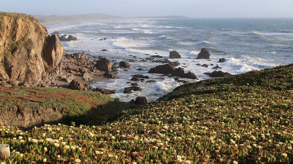 Sea and shoreline combine in splendor in Sonoma Coast State Park along California Highway 1 between Bodega Bay and Jenner. California’s 2nd Congressional District ranges up the coast and, after Proposition 50, also takes in wide swathes of inland, Republican-leaning, Northern California. 