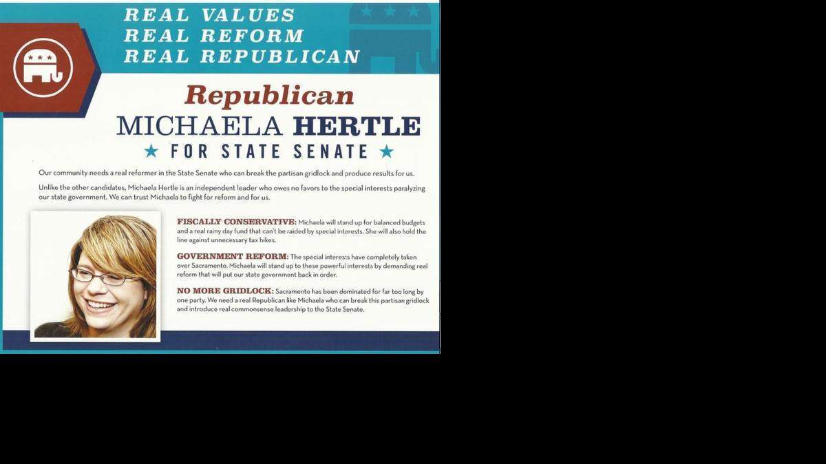 
A campaign brochure from the Asian American Small Business PAC uses the Republican elephant logo to support GOP state Senate candidate Michaela Hertle, even though she has dropped out of the race. 
