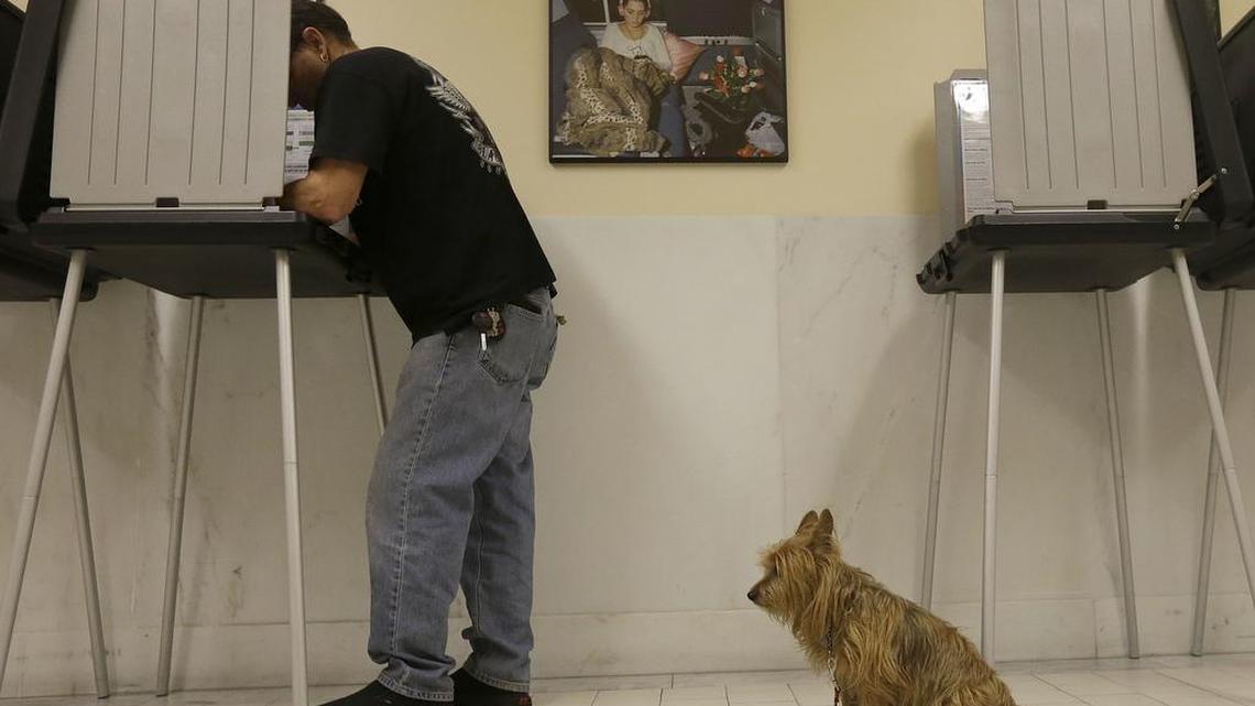 David Delacruz votes as his dog Bozco waits at City Hall in San Francisco, Tuesday, Nov. 8, 2016. (AP Photo/Jeff Chiu)